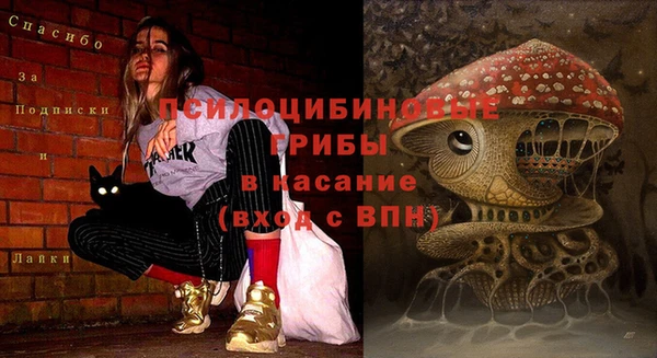 ALPHA PVP Верхний Тагил
