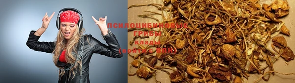 mdpv Волоколамск