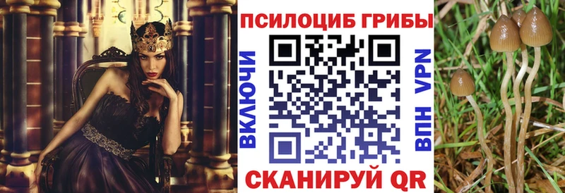 Галлюциногенные грибы прущие грибы  Кизилюрт 